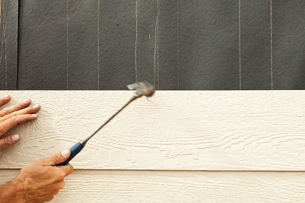 Best Siding Replacement  in Central, SC